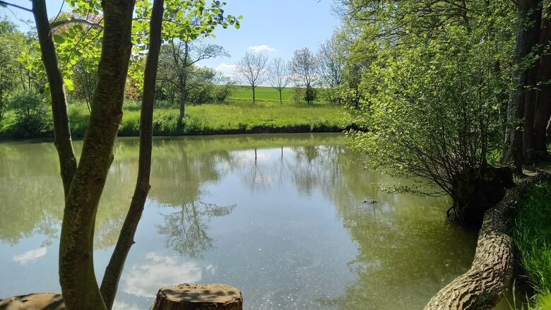 Gondershausen