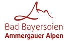 Logotip Bad Bayersoien
