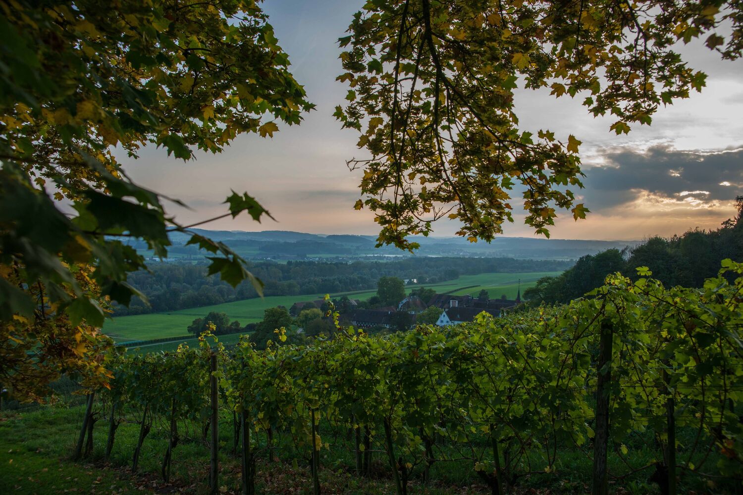Warth-Weiningen