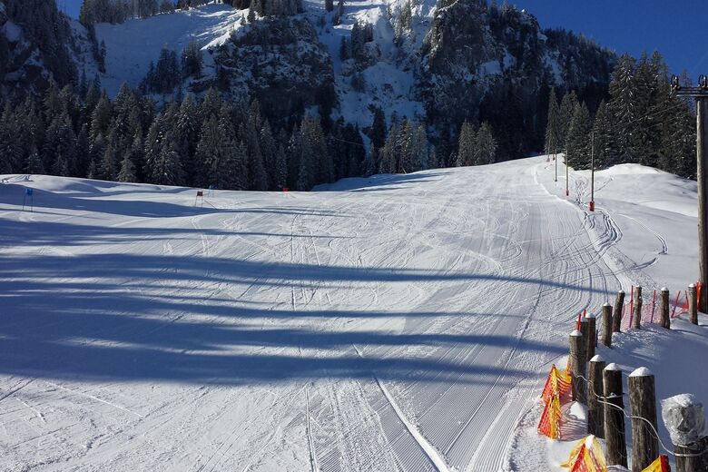 Schuttannen