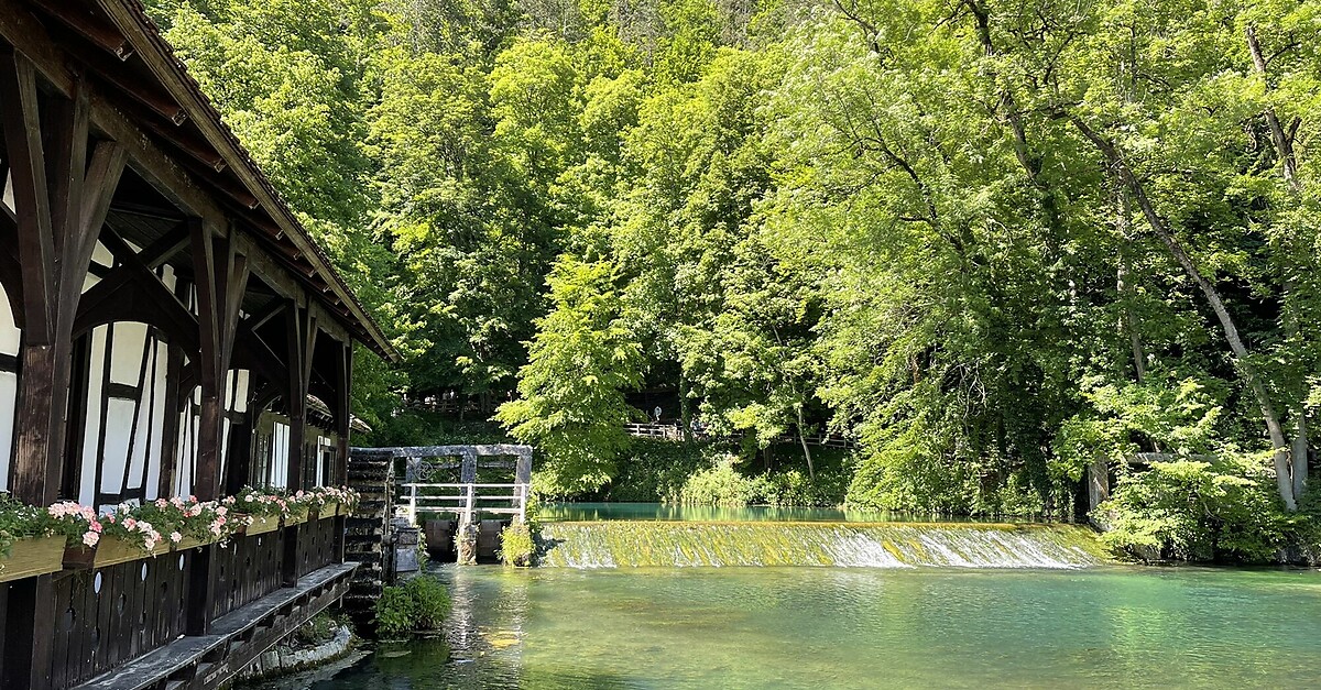 K Ssende Sau Blautopf Runde Von Blaubeuren Bergfex Wanderung