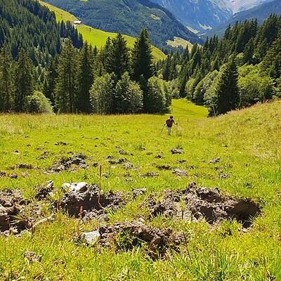 Avatar z Familie van der Rijt van Keulen