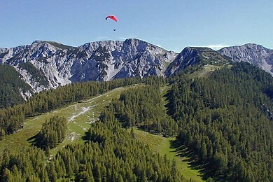 Feistritz ob Bleiburg