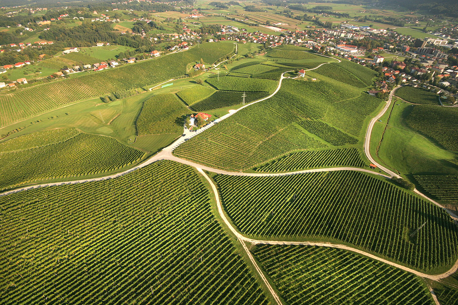Slovenske Konjice
