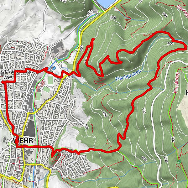 Zwei Burgen Weg Wehr - BERGFEX - Wanderung - Tour Baden-Württemberg