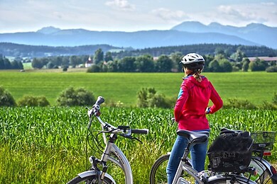Holzkirchen