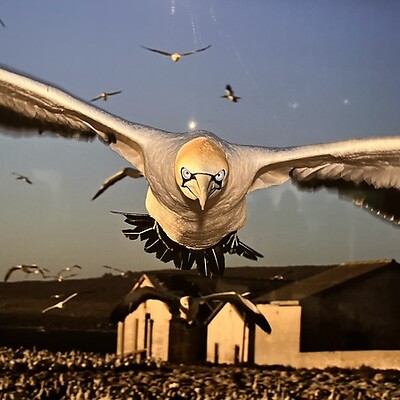 Avatar de Dirk Vollbrecht