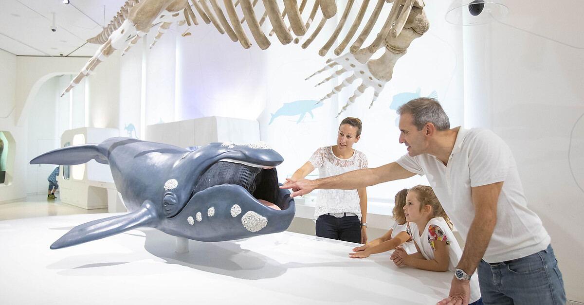 BERGFEXSehenswürdigkeiten Staatliches Museum für Naturkunde