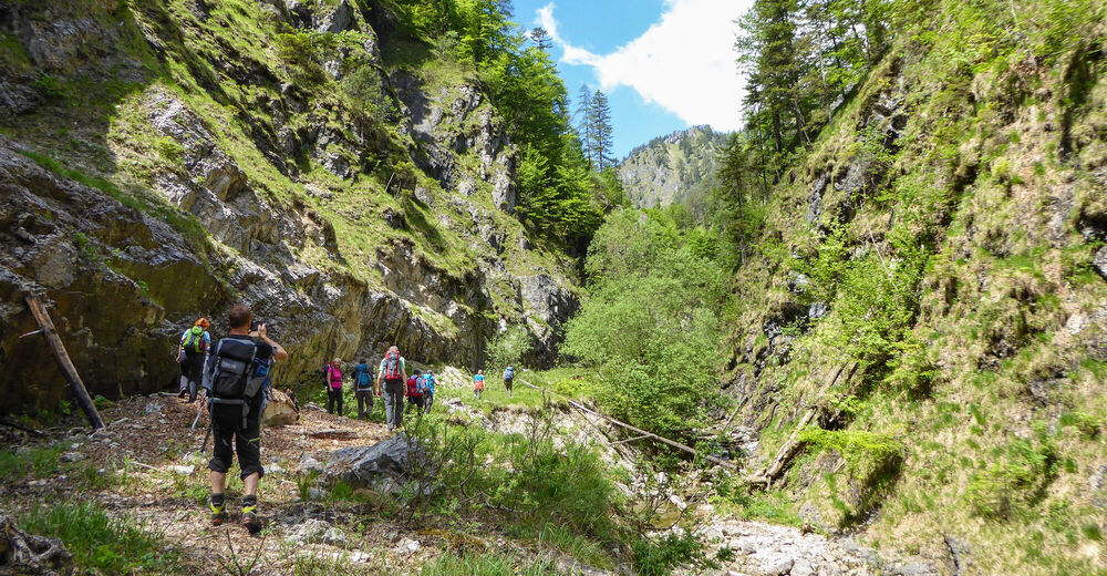 BERGFEX-Sehenswürdigkeiten - Naturparadies Nationalpark Kalkalpen ...