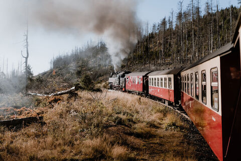 Harzer Schmalspurbahn