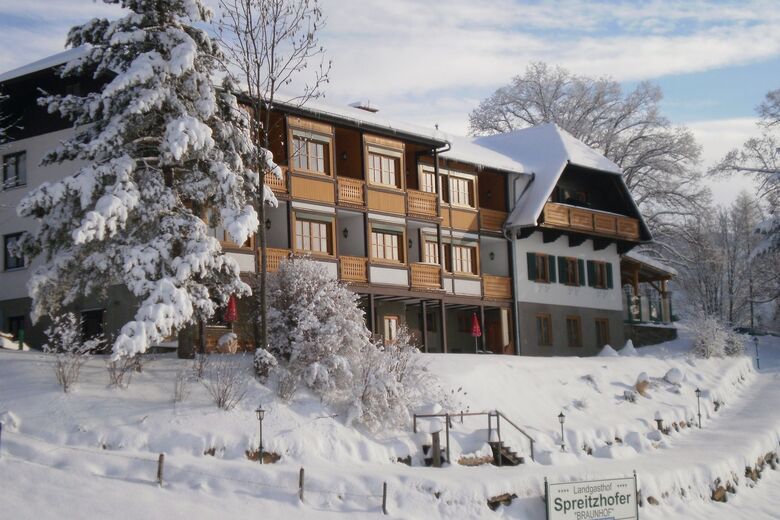Landhotel Spreitzhofer Braunhof