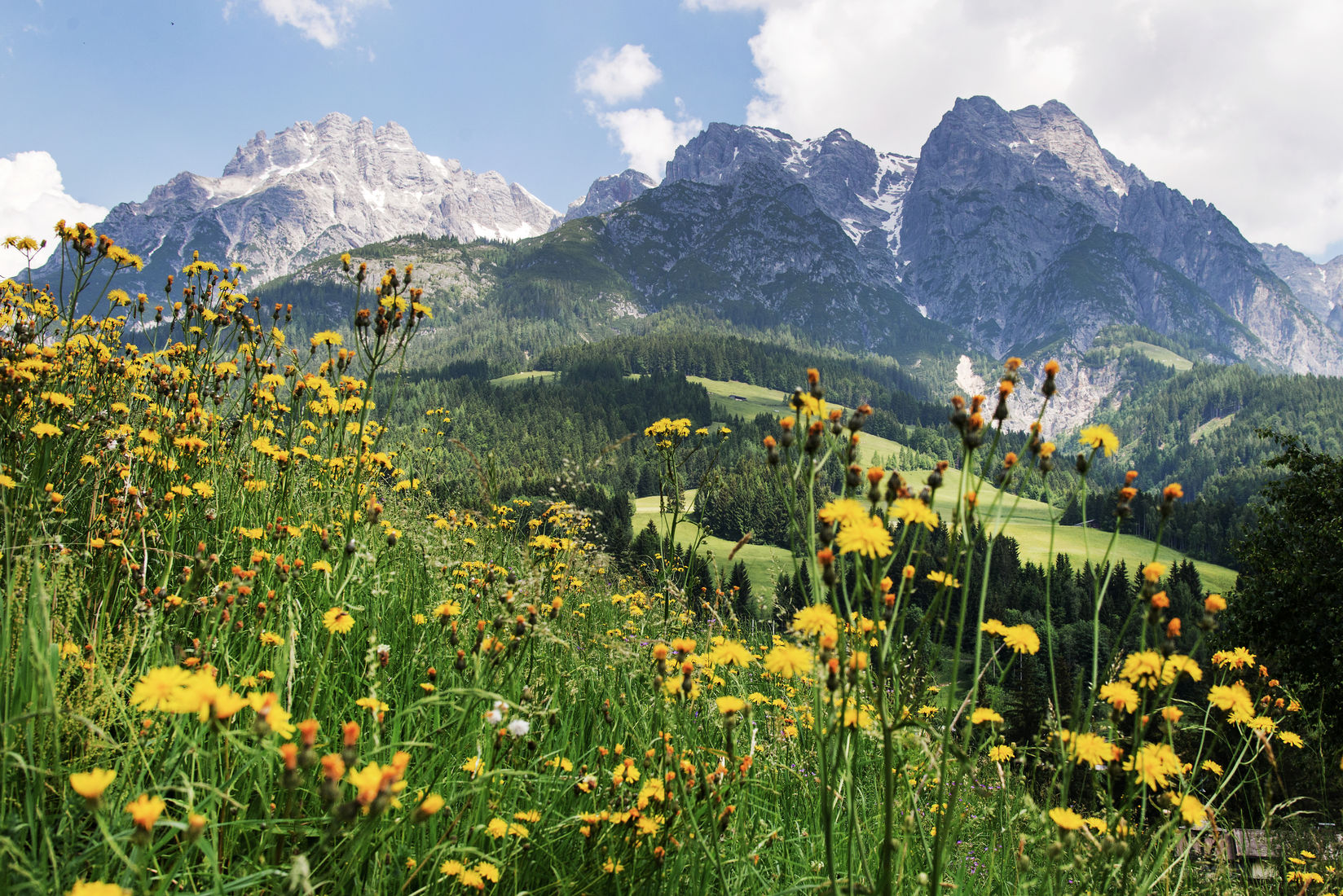 BERGFEX: Panoramakarte Leogang: Karte Leogang - Alm - Leogang