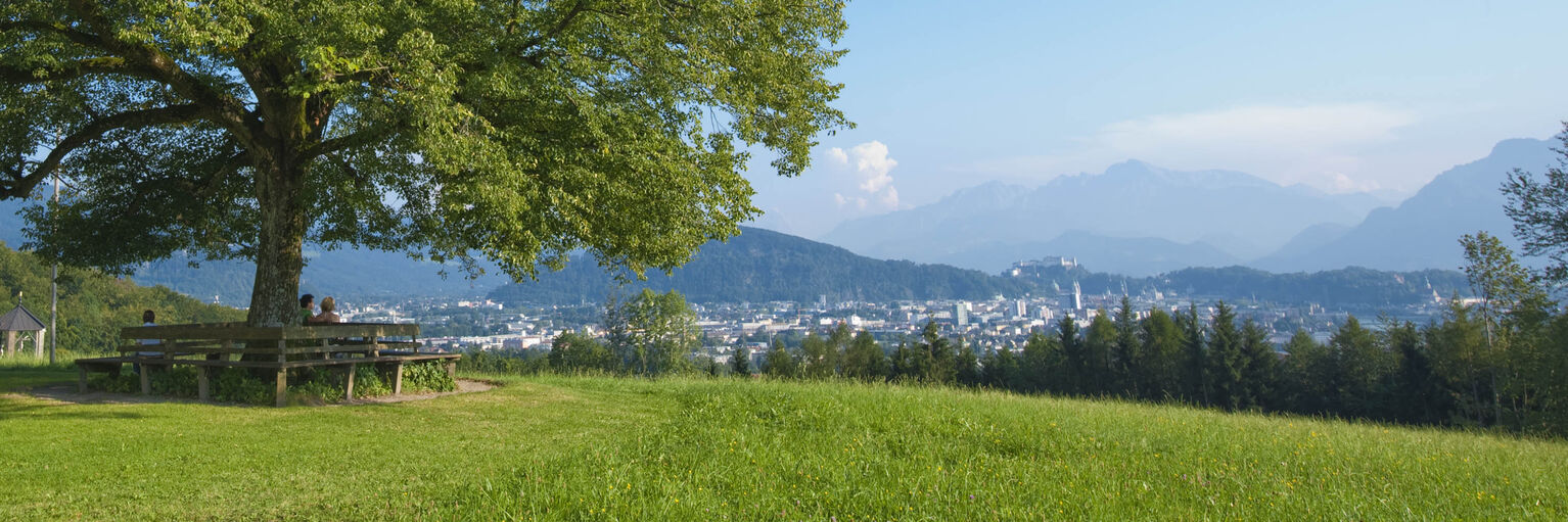 Stadt Salzburg & Umgebung
