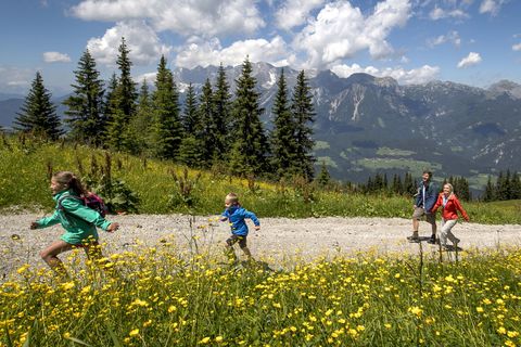 Wandern auf der Planai