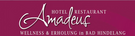 Logotyp Hotel Restaurant Amadeus
