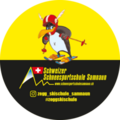Logotyp Schweizer Schneesportschule Samnaun