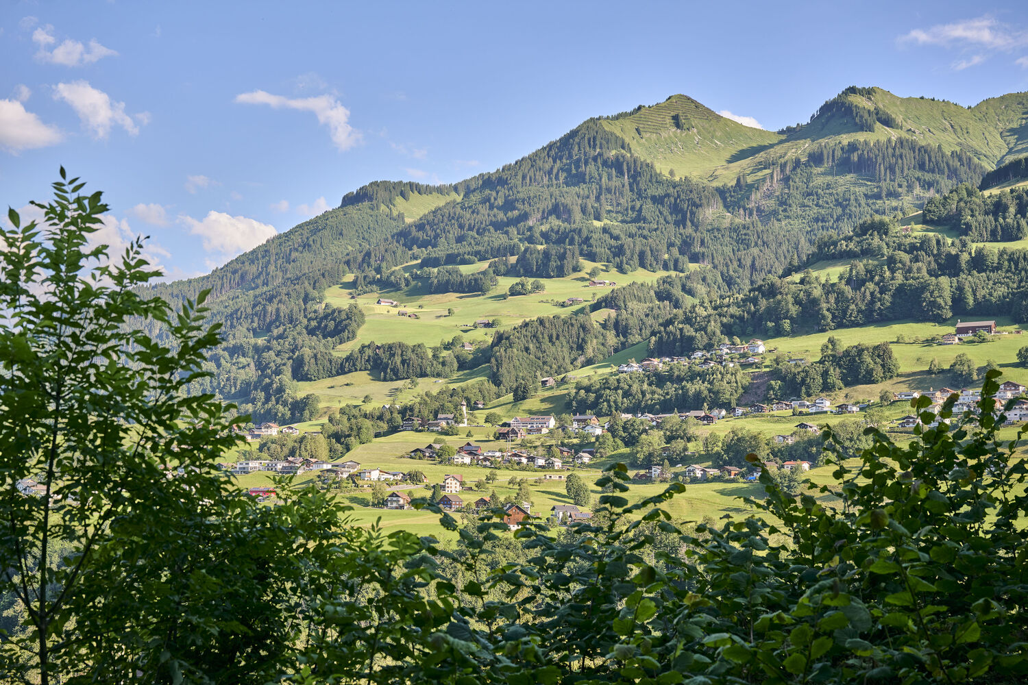 Thüringerberg