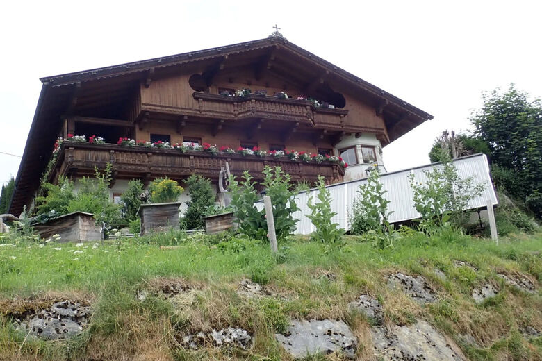Ferienwohnung Pusteblume