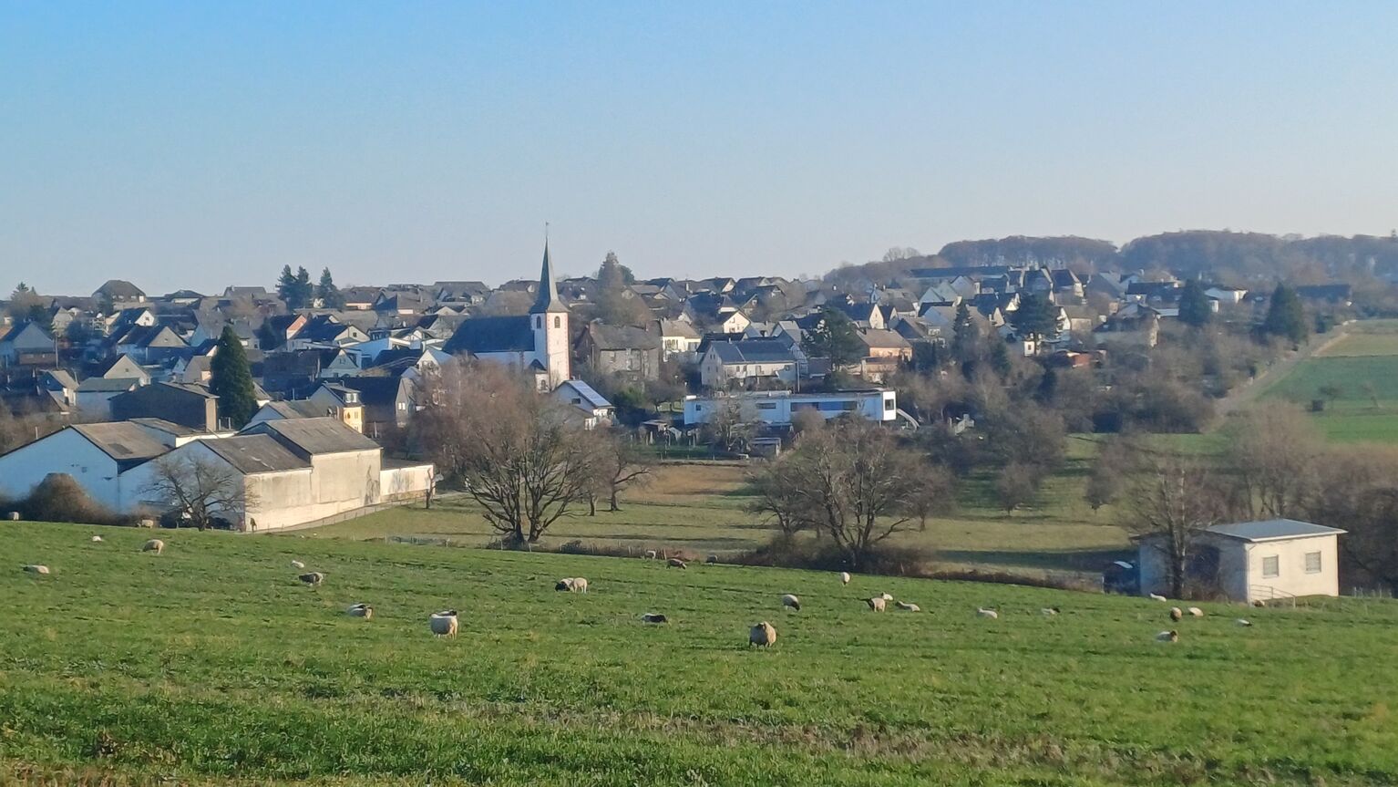 Halsenbach