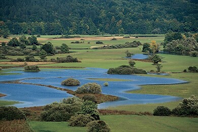 Cerknica