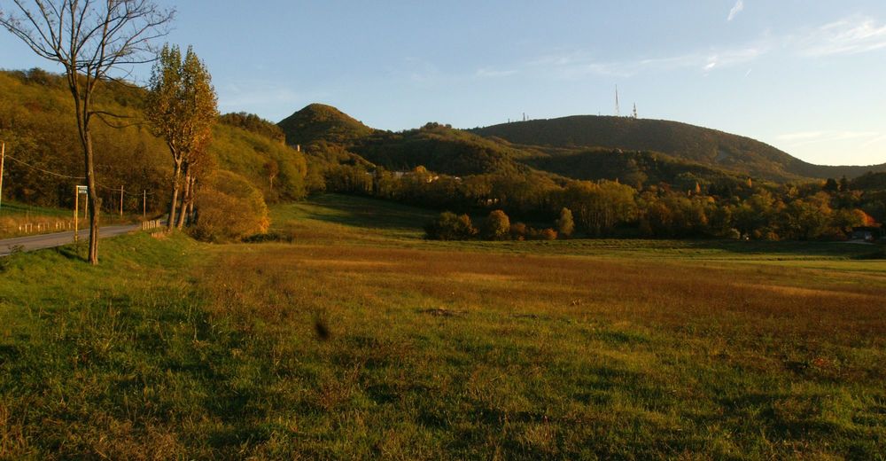 Central Colli E... - BERGFEX - Hiking - Tour Veneto