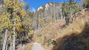 Liptovský Mikulášs Runde zur Hütte Chata pod Náružím 24.10.2021