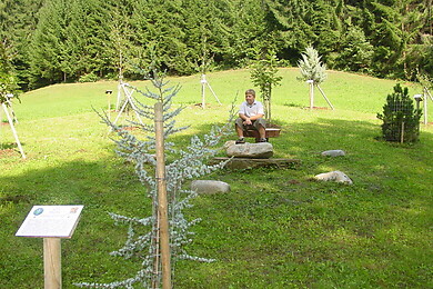 St. Stefan ob Stainz