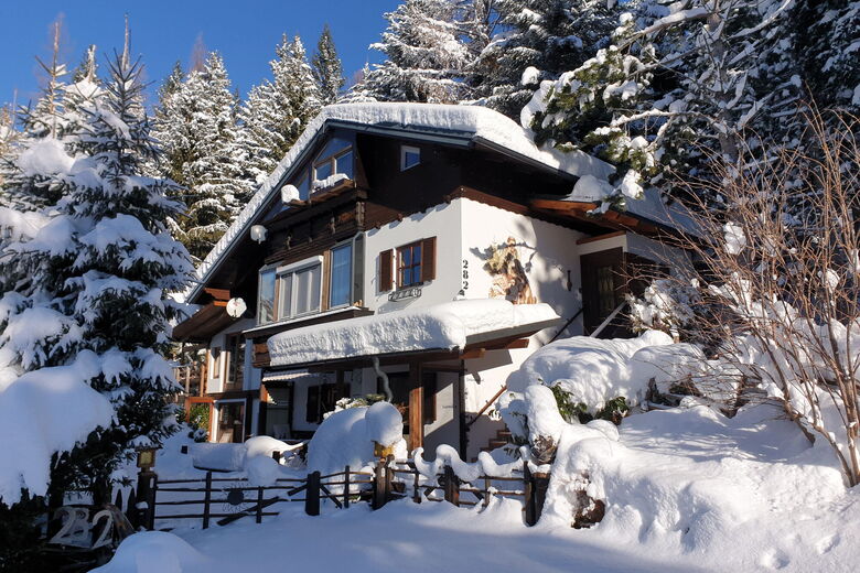 Alm Ferienhaus Gaisegg