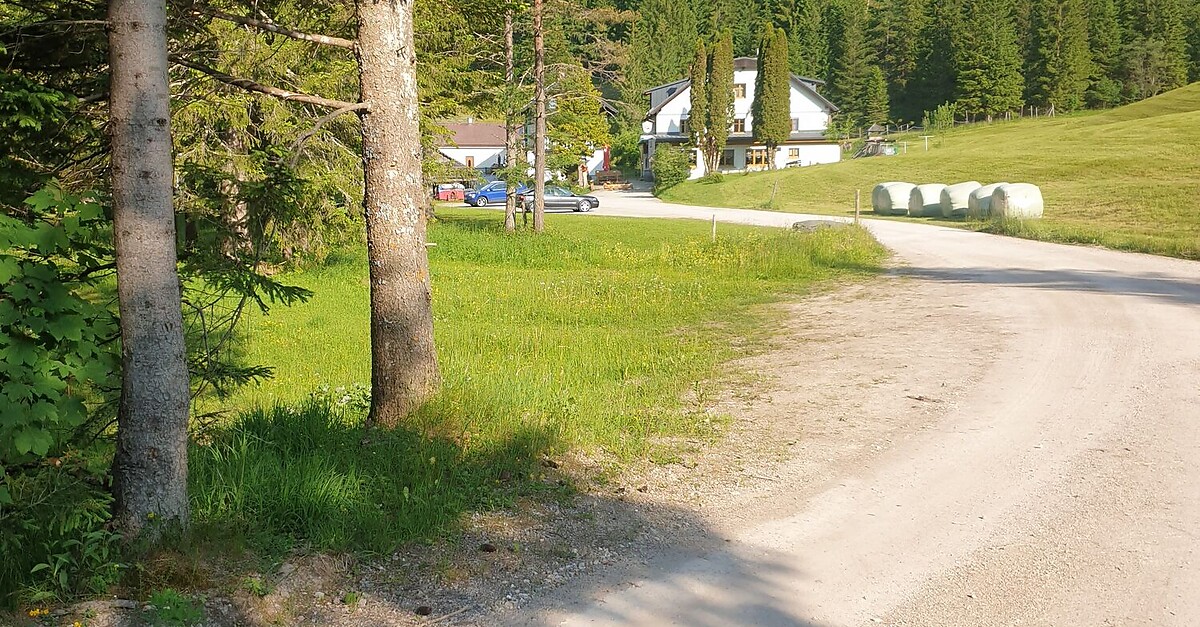 Donnerwand BERGFEX Wanderung Tour Steiermark