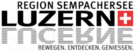Logo Region  Luzern und Umgebung