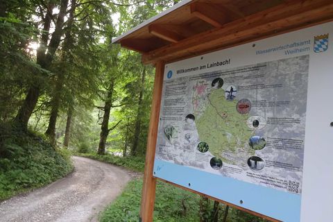 Wildbachlehrpfad