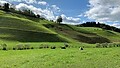 Letní region