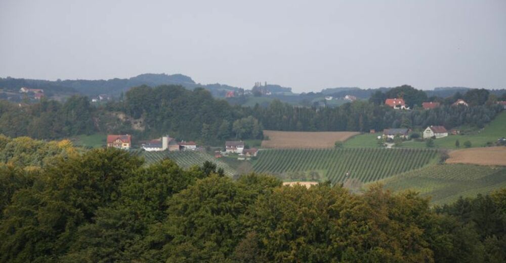 Markt Hartmannsdorf - Apfelblütentour 2015 - BERGFEX - Radfahren - Tour ...