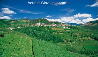 Giovo