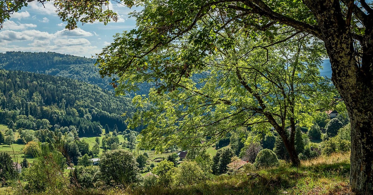 Von Schirmeck Nach Saâles - BERGFEX - Radfahren - Tour Grand Est