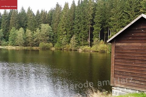 Oberharzer Teiche
