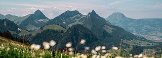 La Gruyère