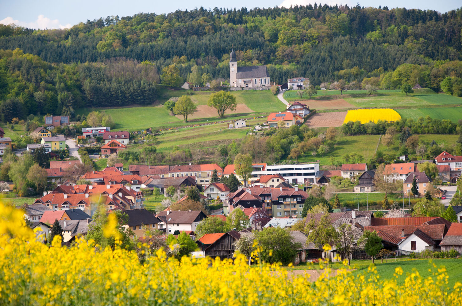 Leiben
