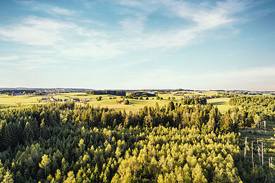 Oberschwaben - Allgäu