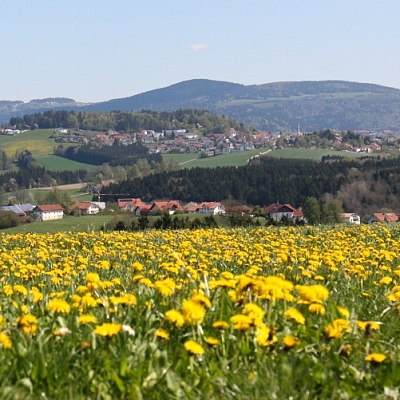 Büchlberg