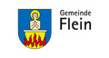 Flein
