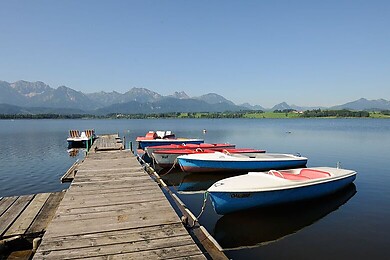 Hopfen am See
