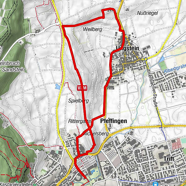 Pfalz Wein Wege Bergfex Wanderung Tour Rheinland Pfalz