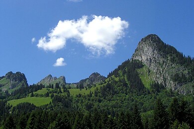Torgon