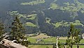 Region letni