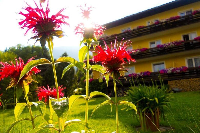 Frühstückspension Eigner