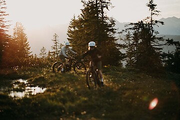 Golden Days in the Alps