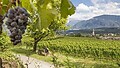 Sommerregion