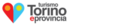 Logo Letný región