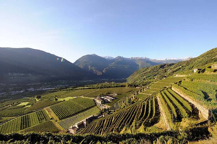Media Valtellina Terziere Superiore